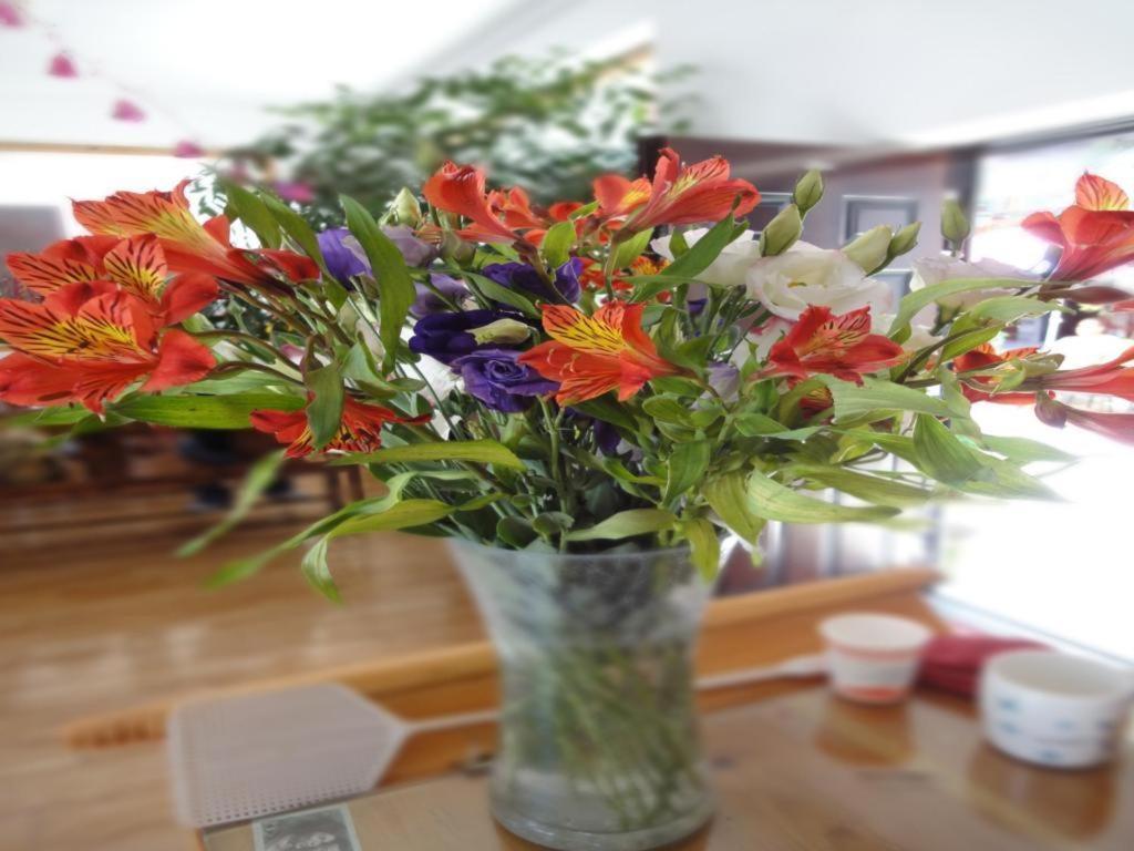 Dali Four Season Flower Inn Đại Lý Ngoại thất bức ảnh